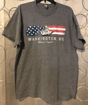Washington DC Nations Capital T Shirt XL Gray US Flag Capitol Building Graphic